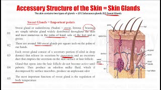 Human Anatomy amp Physiology 51 Accessory Structure of Skin  Glands of Skin  Sebaceous Gland [upl. by Ixel]