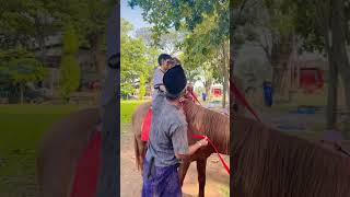 Elsha Dan Om Fathan Naik Kuda kuda horse shorts video  Elsha Family [upl. by Luapsemaj942]