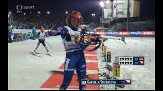 lHDl ČT4 SP biathlon 2015 NMNM  mixed relay [upl. by Asirret]