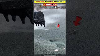 क्या इस भयंकर दलदल से निकल पाएगी चिड़िया 😱😰 [upl. by Angelico383]