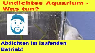 Undichtes 200 Liter Aquarium reparieren Abdichten im laufenden Betrieb [upl. by Griselda362]