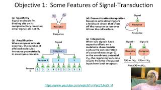 Lehninger Chapter 12 Part 1 Biosignaling [upl. by Maffa810]