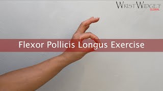 Flexor pollicis longus exercise [upl. by Natividad]