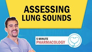 Lung Auscultation Locations Assessment Patho for Nursing students  NCLEX [upl. by Ready653]