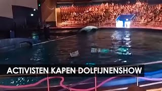 Vegan Strike Group verstoort weer dolfijnenshow Dolfinarium Harderwijk 18 augustus 2024 [upl. by Haven]