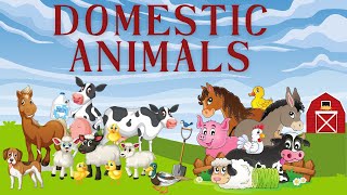 Domestic Animals for Toddlers  Learning Domestic Animals for Kids  Domestic Animals Vocabulary [upl. by Jolda]