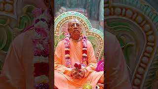 guru Dev shorts shortvideo youtubeshorts youtube yt krishnaconsciousness bhakti harekrishna [upl. by Atiuqad]