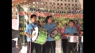 ALEGRES DE AGUA BLANCA EN VIVO ADONDE VAYAS TE VUSCAREquot [upl. by Elin]