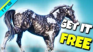 MustHave Horse Silver Dapple Pinto Easy Guide  RDR2 [upl. by Kcirdes]