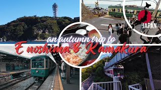 Episode 49 An Autumn Trip to ENOSHIMA amp KAMAKURA  Japan Travel Guide [upl. by Eigroeg883]