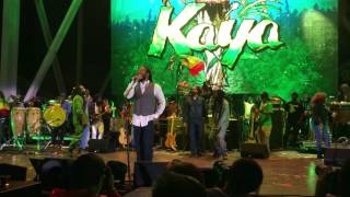 quotKayaquot  the Bob Marley Brothers Kaya Fest 2017  Ziggy Stephen Damian Julian Kymani [upl. by Tolley]