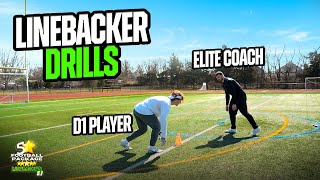 The SECRETS to Becoming a D1 Linebacker🤫 [upl. by Ojillek]