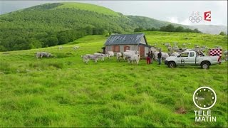 Marchés  Un été en Ariège [upl. by Nuj]