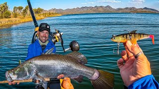 Lure Colour selection and rigging with Dean Silvester [upl. by Emoraj823]