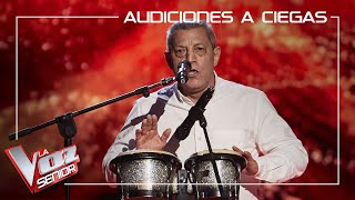 Fernando Liben canta Casi te envidio  Audiciones a ciegas  La Voz Senior Antena 3 2020 [upl. by Ylyl]