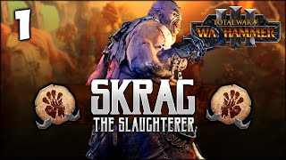 THE SLAUGHTERER RISES Total War Warhammer 3  Skrag the Slaughterer  Ogre Kingdoms Campaign 1 [upl. by Seligman]