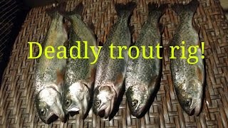 Best rainbow trout rig and power bait [upl. by Rasure]