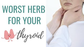 AVOID this HERB If You Have Hashimotos Thyroiditis  How to Heal Hashimotos Thryoiditis Naturally [upl. by Corson]