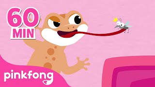 Cicak Cicak di Dinding 1 Jam  Lagu Anak  Pinkfong Baby Shark [upl. by Ahcropal]