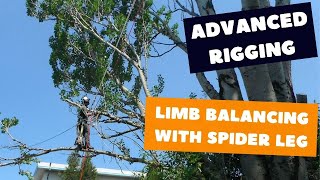 Spider leg rigging  Tree rigging techniques [upl. by Hyland632]