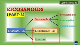 12 Eicosanoids part 2 Leukotrienes Lipoxins  Lipid Chemistry12  Biochemistry [upl. by Janeczka]