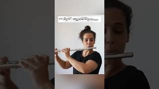 L Drouet 25 studies for flute  20 Adagio shorts music classicalmusic flute flutemusic [upl. by Ilahsiav790]