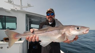 New England Fishing  Stellwagen Bank Haddock  Episode 111 [upl. by Zeta709]