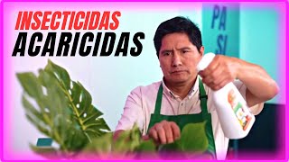 ¿Qué insecticida o acaricida es el mejor para mis plantas Tipos beneficios y mas [upl. by Eityak]