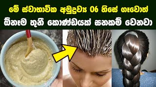 6 Easy Hair Care DIY AtHome Treatments On A Budget [upl. by Anniala33]