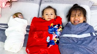 Monkey Kaka and Diem wrapped in blankets like newborn baby is so cute [upl. by Catherine]