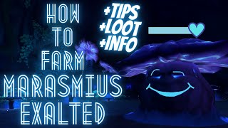 Marasmius Travel Network  How to farm Guide [upl. by Aliemaj269]