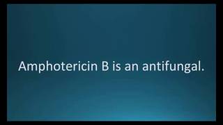 How to pronounce amphotericin B Fungizone Memorizing Pharmacology Flashcard [upl. by Eedrahc]