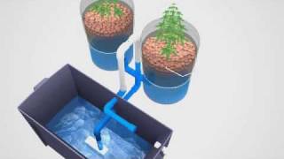 Super Simple Ebb amp Flow Hydroponics System [upl. by Prussian]