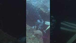 My Epic Shipwreck Dive in Coron Palawan You HAVE to see this [upl. by Eet]