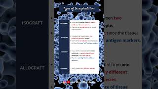 Types of Transplantation Autograft Isograft Allograft amp Xenograft PreU Biology shorts short [upl. by Cerell]