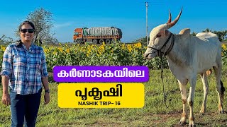 Karnatakas flower farms and wheat puttu for breakfast  Nashik Trip  EP  16  Jelaja Ratheesh [upl. by Beaufort]