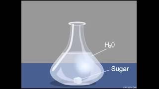 Dissolução da Sacarose em água [upl. by Anavahs]