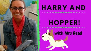 Harry amp Hopper Ready Set Read Premiers Reading Challenge 2020 [upl. by Araas929]