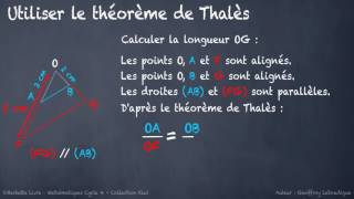 Calculer une longueur avec le théorème de Thalès KIWI C4 A66 [upl. by Misaq]