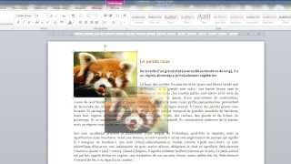 La fonction habillage du texte dans Word [upl. by Aerdnaek]