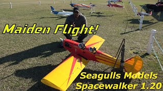 The Maiden First Flight Unveiling the Thrills of Seagulls Spacewalker 120rc edf rcairplane [upl. by Kaylyn671]