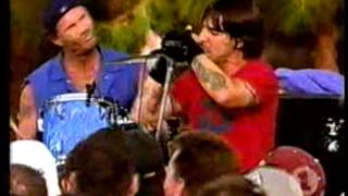 Red Hot Chili Peppers  The Zephyr Song Live VH1 BBQ  USA 2002 [upl. by Rebna756]