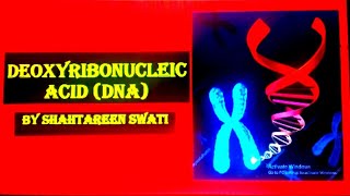 Part1 Deoxyribonucleic acid DNA Structurecomposition oxy vs deoxyribose Phosphodiaester bond [upl. by Diraf187]