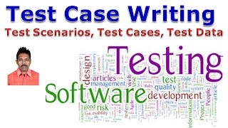 Test Case Writing Test Data Collection [upl. by Giorgia]