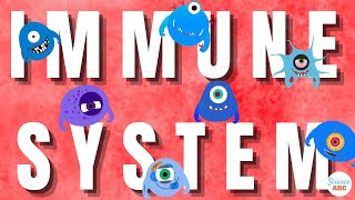 Immune System Innate and Adaptive Immunity Explained [upl. by Kape]