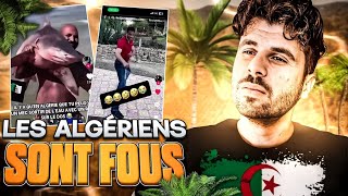 LES ALGÉRIENS sontils normaux  les vidéos folles dAlgérie [upl. by Nagirrek]