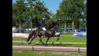 Impressionen WC Icelandic Horses 2023  Islandpferde WM 2023  WORLD CHAMPIONSHIPS 2023 [upl. by Solim]