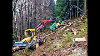 🌲 The PERFECT Team • John Deere 1270G amp Welte 130 • PCMForst • Skidder amp Harvester • Part1🌲 [upl. by Kameko]