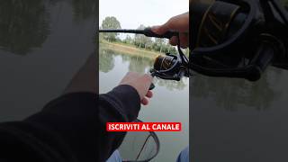 parcopalustre palustre lake fishing pescaita carp carpfishing waggler galleggiante [upl. by Benetta]