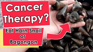 Horn Snail or Bagongon Shell for Cancer Therapy [upl. by Carli475]